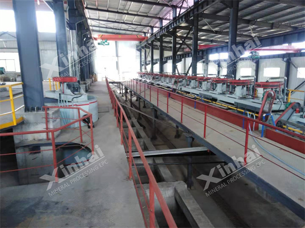 铜金矿浮选车间 铜金矿浮选车间