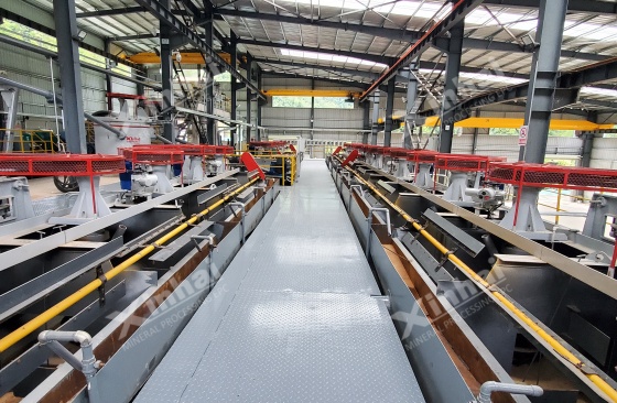 胶磷矿与白云石浮选分离